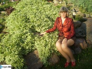 Solyanka. Part 9. Thumbnail 3
