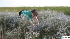 Home photos of a Ukrainian girl. Part 3. Thumbnail 33