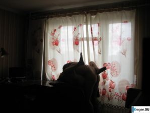 Home photos of a Ukrainian girl. Part 4. Thumbnail 28