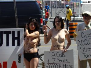 Outcrops of Protest. Part 6. Thumbnail 10