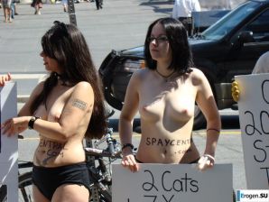 Outcrops of Protest. Part 6. Thumbnail 13