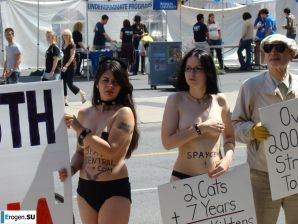 Outcrops of Protest. Part 6. Thumbnail 4