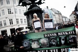 Outcrops of Protest. Part 6. Thumbnail 40