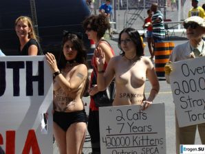 Outcrops of Protest. Part 6. Thumbnail 9