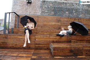 book lovers. Thumbnail 10