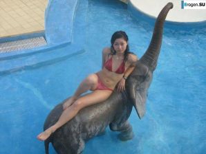 Bathing season. Thumbnail 27