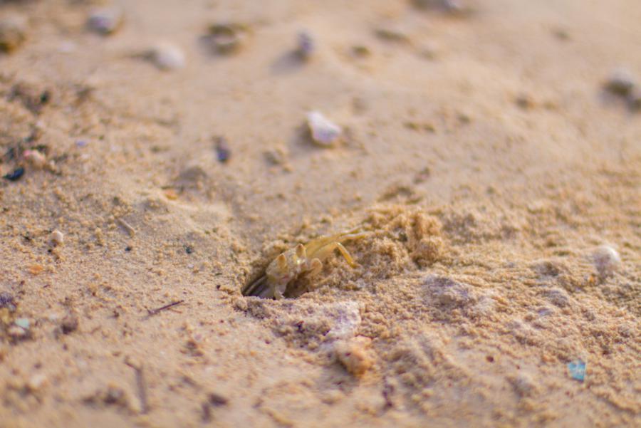 On the Beach. Slide 36