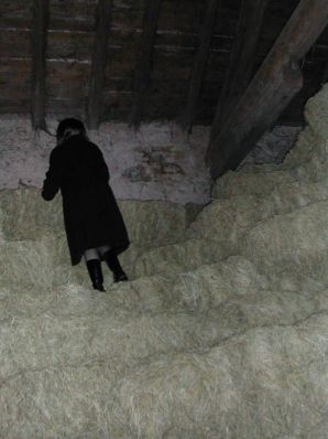 Большой французский архив. Часть 3. Миниатюра 35