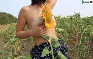 SUNFLOWERS. Thumbnail 10