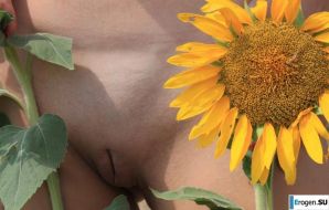 SUNFLOWERS. Thumbnail 6