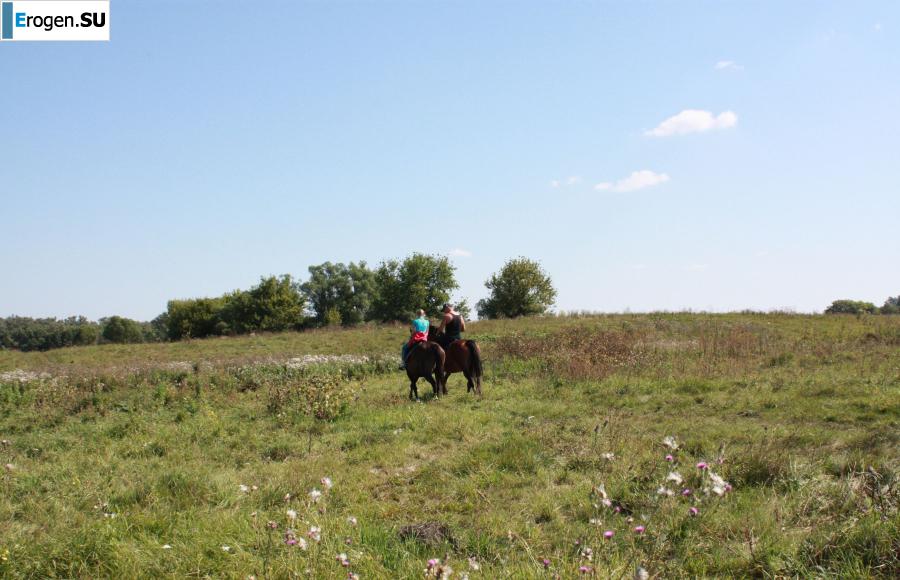 Rider. Slide 30