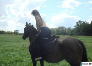 Rider. Thumbnail 28