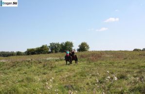 Rider. Thumbnail 30