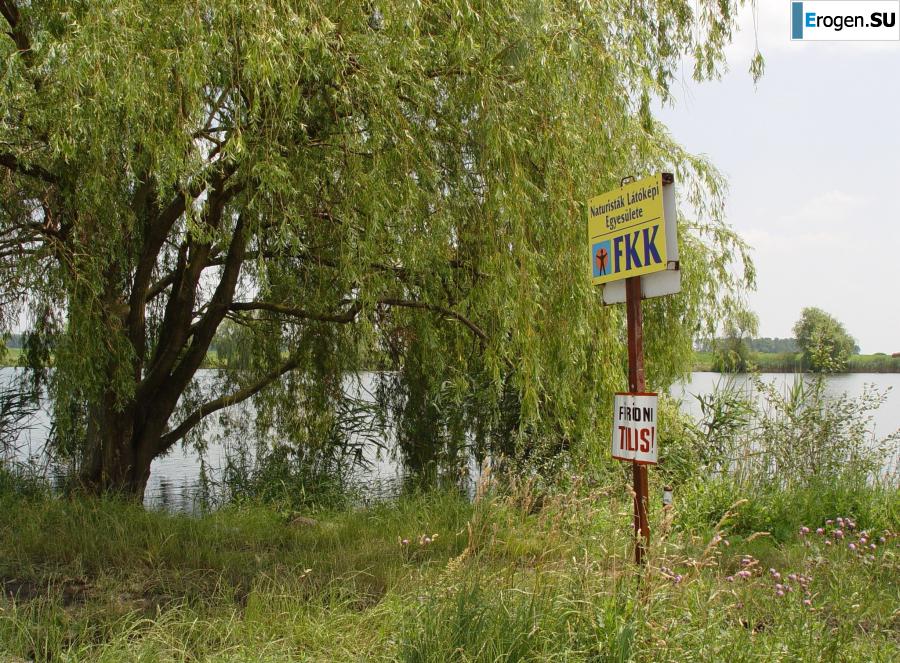 на природе с компанией. Фото 13