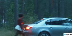 Roadside Butterfly. Thumbnail 34