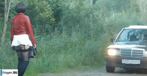 Roadside Butterfly. Thumbnail 5