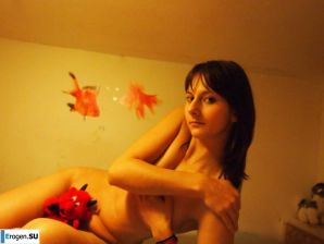 Sly fox with a playful look. Thumbnail 22