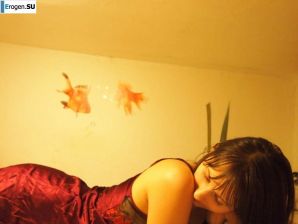 Sly fox with a playful look. Thumbnail 36