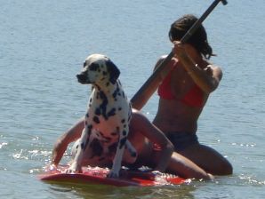 Lesbian on vacation with a friend. Thumbnail 3