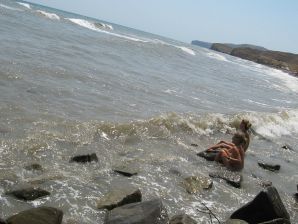The girl undressed in the company of vacationers and showed an excellent figure. Thumbnail 52