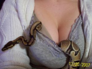 Passionate minx dances striptease in nature with a snake. Thumbnail 42