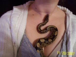 Passionate minx dances striptease in nature with a snake. Thumbnail 44
