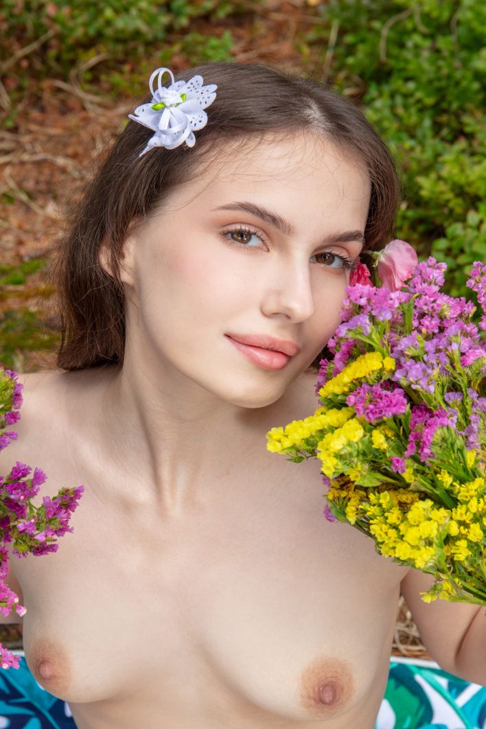 Silky in Forest Secret. Миниатюра 21