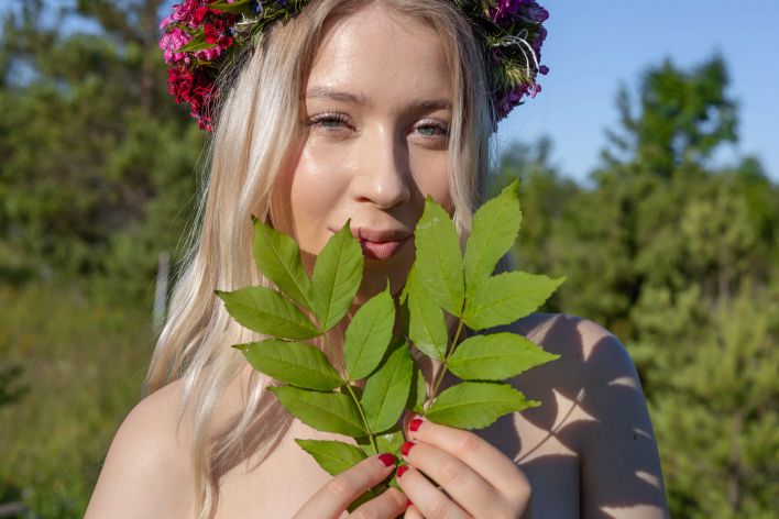 Cherry Blossom in Basking In The Sun. Миниатюра 38