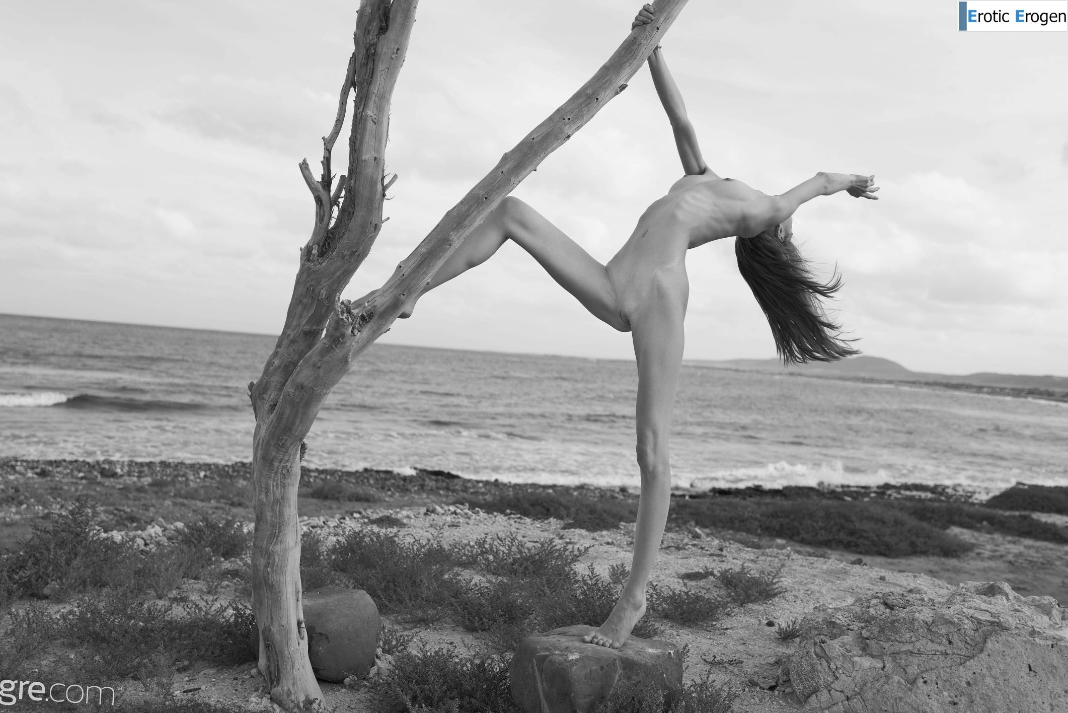 Proserpina in Joshua Tree. Slide 39